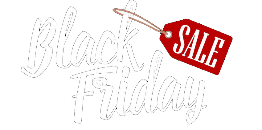 80% OFF - Black Friday Sale